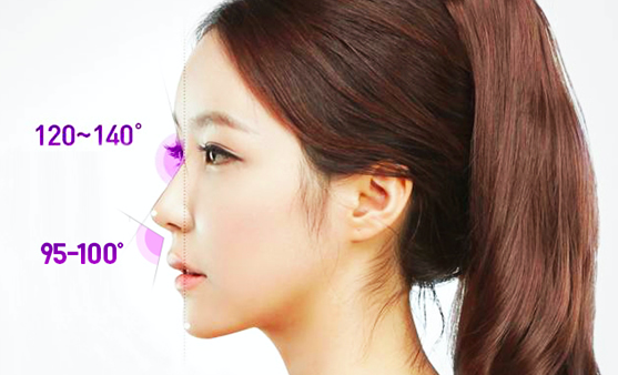 nose proportions