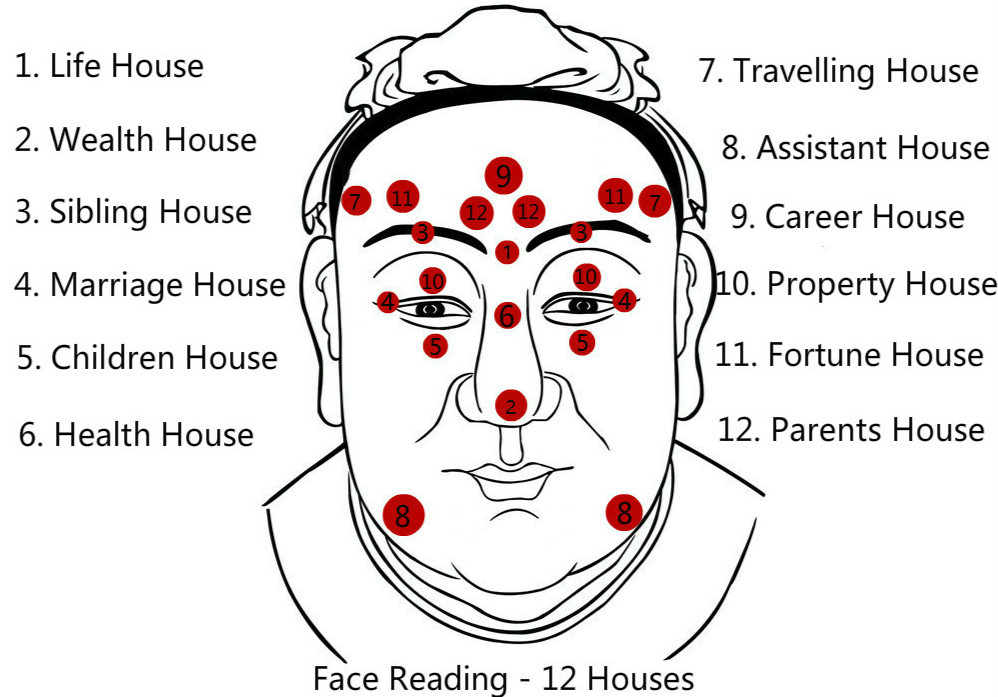 face-reading-twelve-house