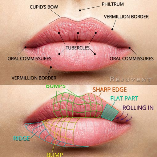 lip beauty at SW1